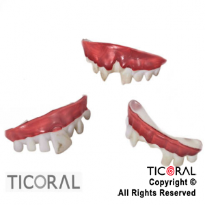 DENTADURA DIENTES CON POCOS DIENTES O TORCIDOS HS6776 x 1