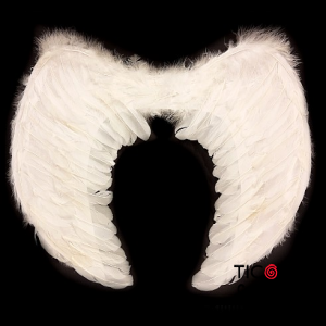 ALAS DE ANGEL CON PLUMAS BLANCAS 60 x40 cm X 1
