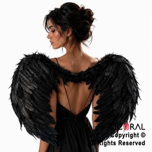 ALAS DE ANGEL CON PLUMAS NEGRAS PREMIUM 80 x 60 cm