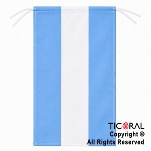 BANDERA ARGENTINA 60 CM  X 100 CM  FISELINA