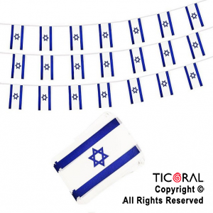 BANDERIN PLASTICO BANDERA ISRAEL X 2 MTS x 1