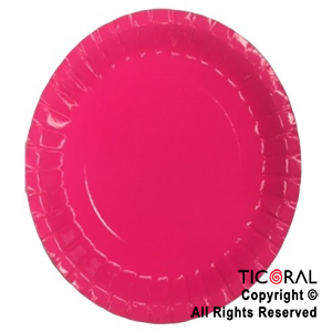 PLATO FLUO FUCSIA 22.5CM x 10