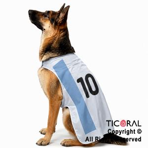 DISFRAZ ARGENTINA ROPA PARA PERROS GRANDES TALLE 3