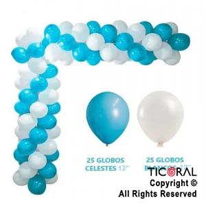 GLOBO BOMBUCHA STANDARD 12