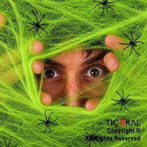 TELARA�A VERDE CON ARA�ITAS