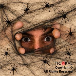 TELARA�A NEGRA CON ARA�ITAS