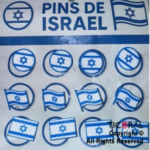 PINS DE ISRAEL PLASTICOS x 12