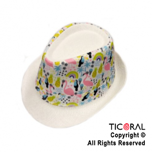 SOMBRERO PANAMEO VERANO X  1
