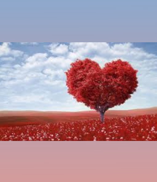 KIT DIA DE LOS ENAMORADOS