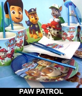 PAW PATROL 719