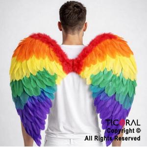 ALAS DE ANGEL CON PLUMAS MULTICOLOR 60 x 40 cm X 1